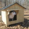 Medium Dog House