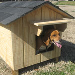 Dog Houses