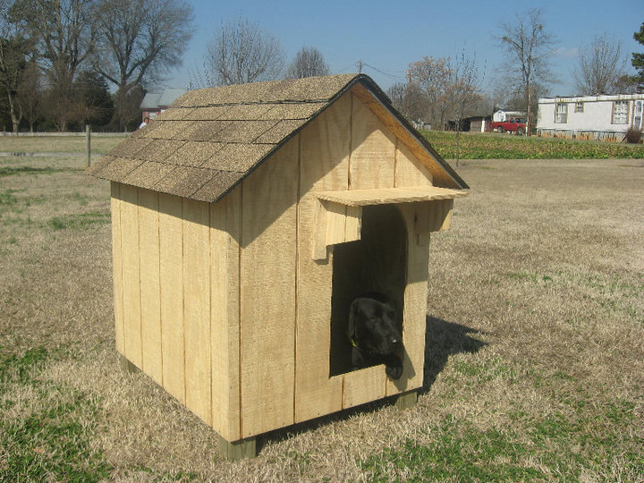Large breed dog house top